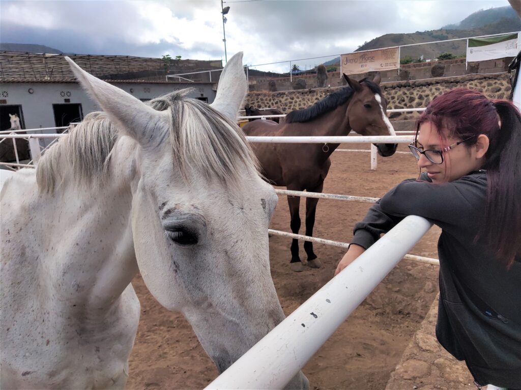 La Cámara organiza la primera formación gratuita de cuidador de caballos en Canarias