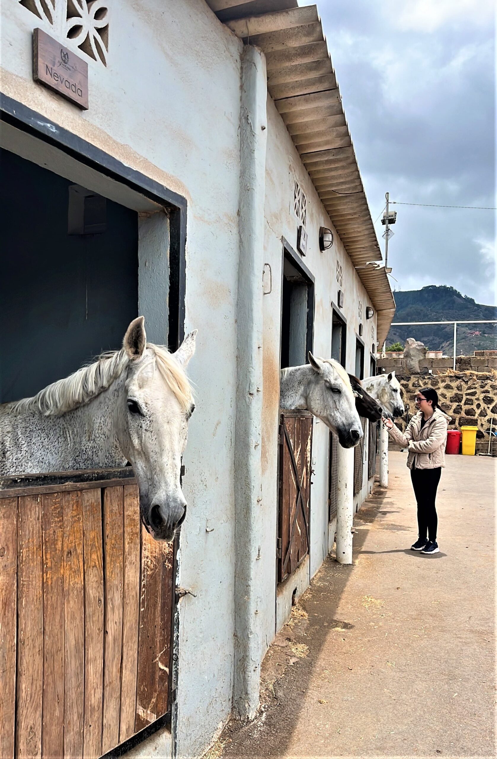 Concluye la formación de los alumnos PICE del curso gratuito de Cuidador de Caballos