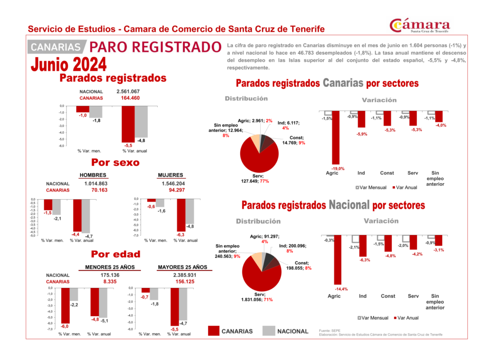 Paro Junio sintesís